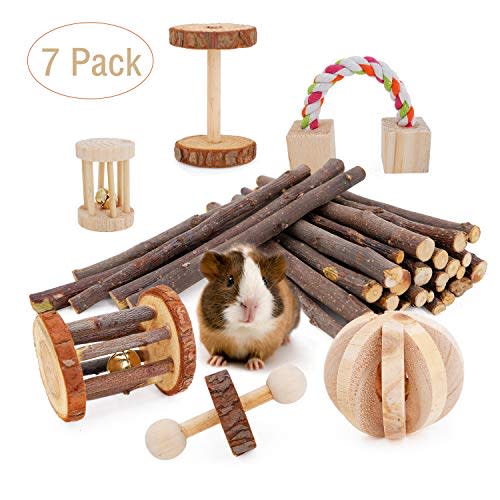 Pack of Seven Guinea Pig Toys