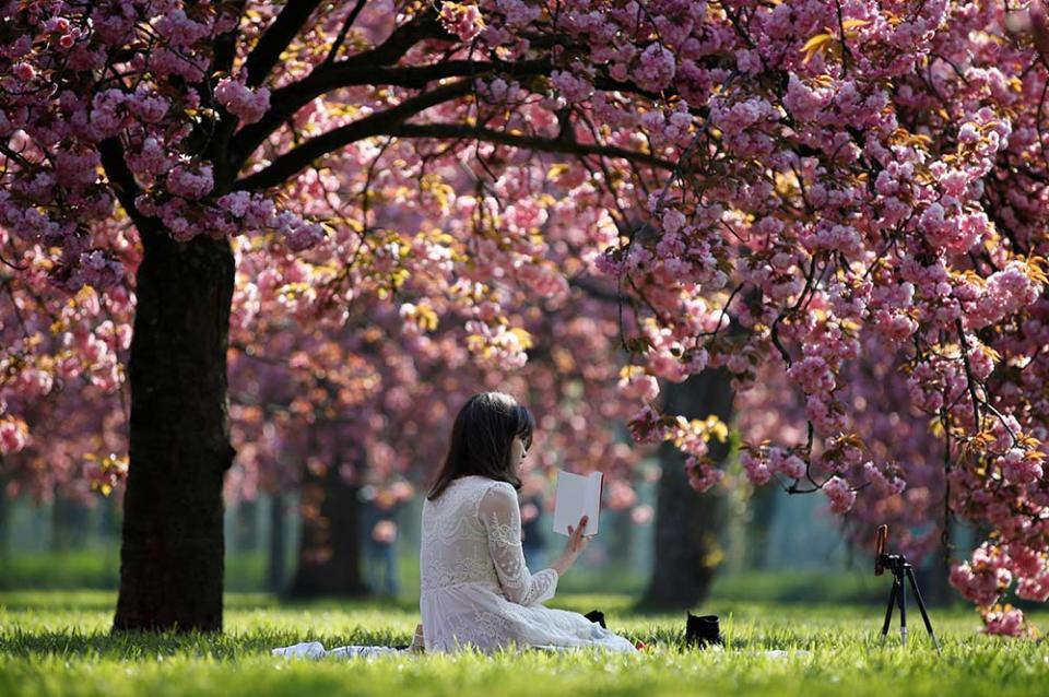 索鎮公園（Image Source : REUTERS/Christian Hartmann）