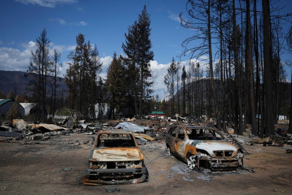 Burned vehicles and other debris are scattered about a property destroyed by the Bush Creek East wildfire, in Scotch Creek, British Columbia, Canada, ((Darryl Dyck/The Canadian Press via AP))