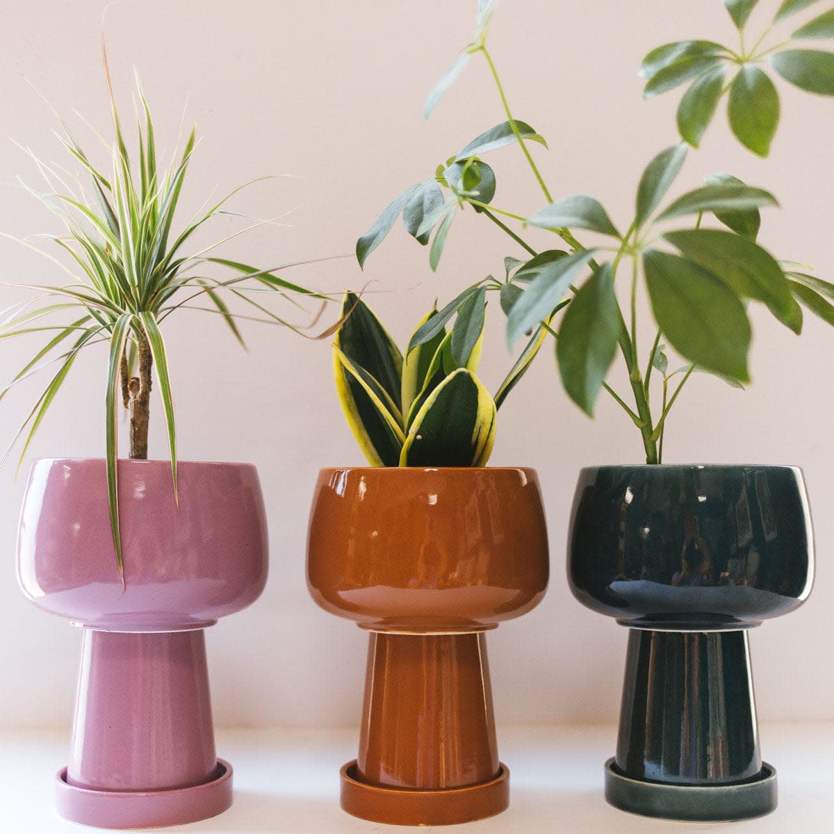 <p><a href="https://www.jungalow.com/collections/planters/products/kaya-ceramic-planter-by-justina-blakeney" rel="nofollow noopener" target="_blank" data-ylk="slk:Shop Now;elm:context_link;itc:0;sec:content-canvas" class="link rapid-noclick-resp">Shop Now</a></p><p>Kaya 3-Piece Ceramic Planter by Justina Blakeney™</p><p>jungalow.com</p><p>$49.00</p>