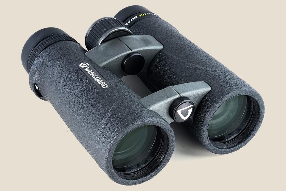 Vanguard Endeavor ED 10x42 Binoculars