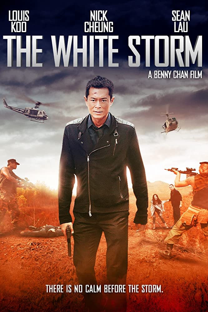 The White Storm (2013) (PHOTO: IMDB)