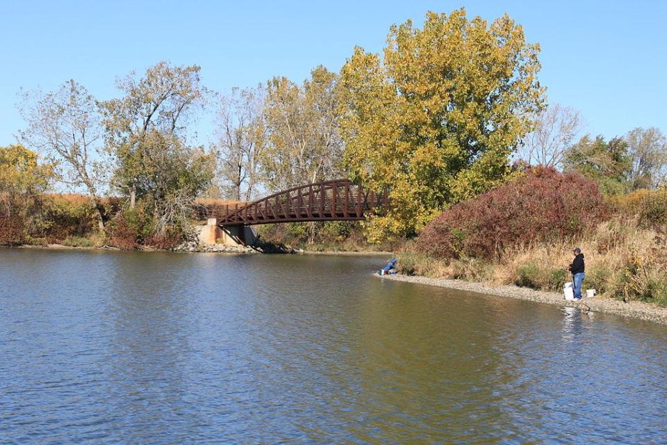 Here is a Sterling State Park pedestrian bridge that crosses a lagoon. Many efforts that led to water restoration in the River Raisin and Lake Erie’s western basin can be traced to William Clark Sterling’s Monroe Carp Farm Company and the recognition that there was value in protecting swamps, marshes and waterways for future generations and the good of the environment.