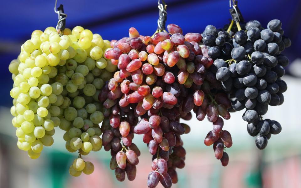 Grapes have grown in popularity in the last year - TASS