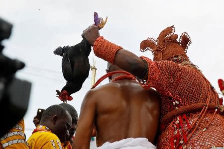 Newly crowned Oba of Benin Kingdom Eheneden Erediauwa holds a hen as he is guided through a symbolic bridge by the palace chiefs during his coronation in Benin city, Nigeria October 20, 2016.REUTERS/Akintunde Akinleye