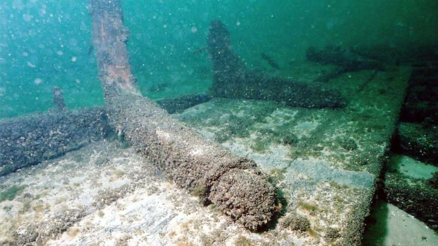 A long stretch of a wooden hull sits at the bottom of Lake Michigan.