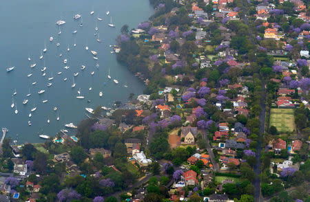 Boats are moored on Sydney Harbour near homes in the Sydney suburb of Hunters Hill, Australia, November 8, 2016. REUTERS/David Gray