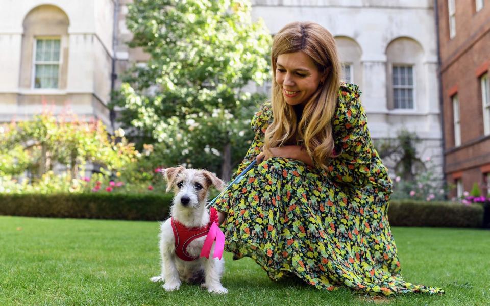 Carrie Johnson with Dilyn after his arrival at Downing Street