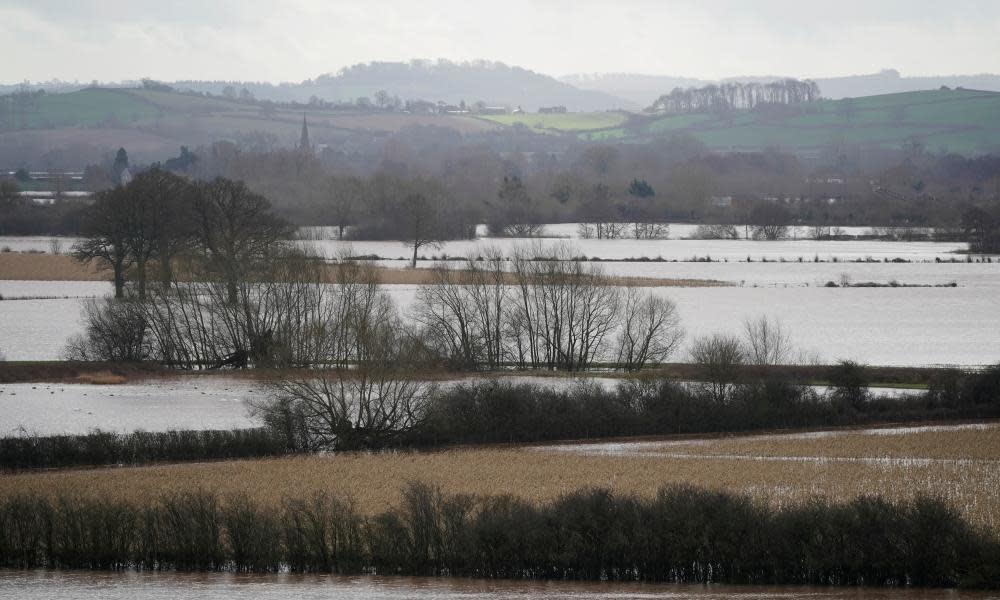 <span>Photograph: Christopher Furlong/Getty Images</span>