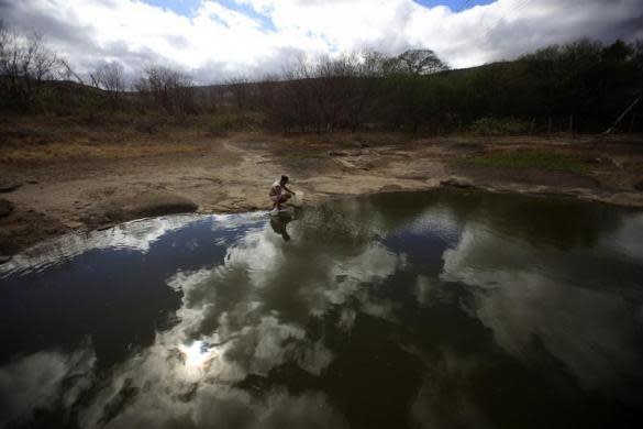 The state of Brazil’s Amazon