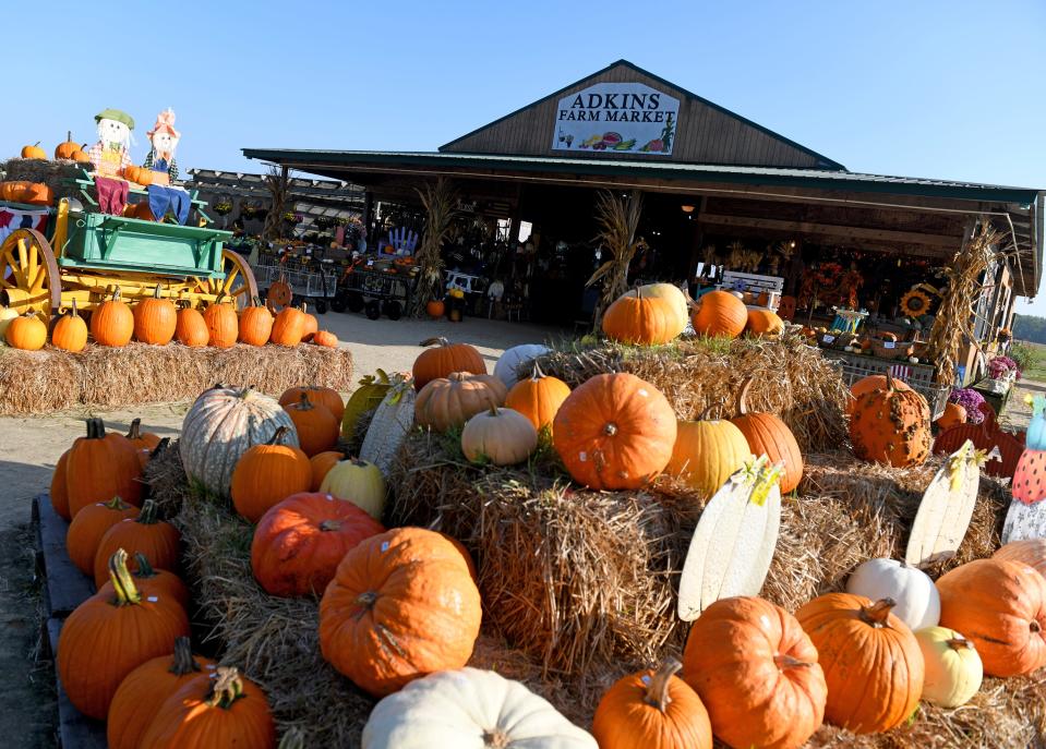 Adkins Farm Market Monday, Oct. 2, 2023, in Salisbury, Maryland.