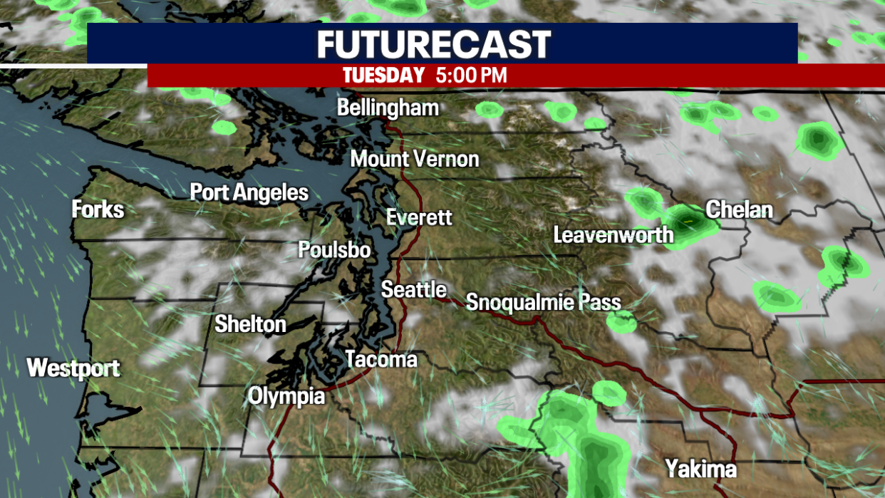 <div>FUTURECAST 5pm</div> <strong>(FOX 13 Seattle)</strong>