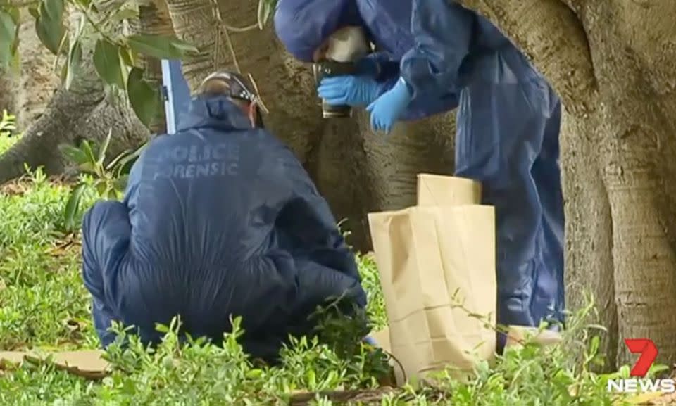 Forensic police search for clues to the vicious attack. Photo: 7 News