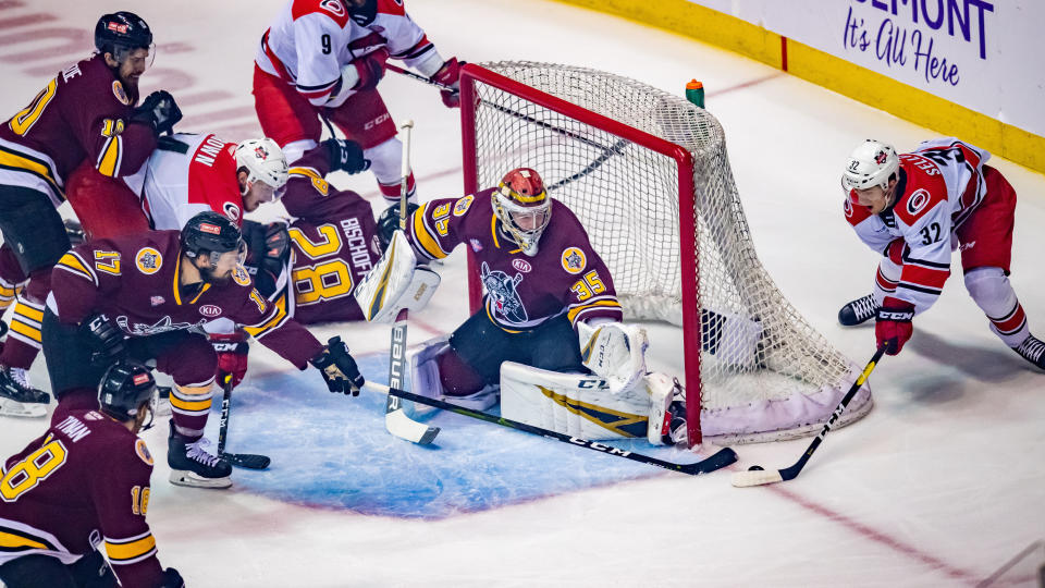 The American Hockey League pushed back their proposed start date for the 2021 season. (Patrick Gorski/Icon Sportswire via Getty Images)