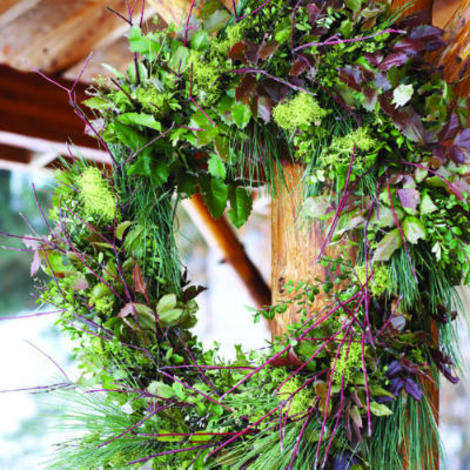 Ponderosa pine, Oregon grape, lichen, dogwood