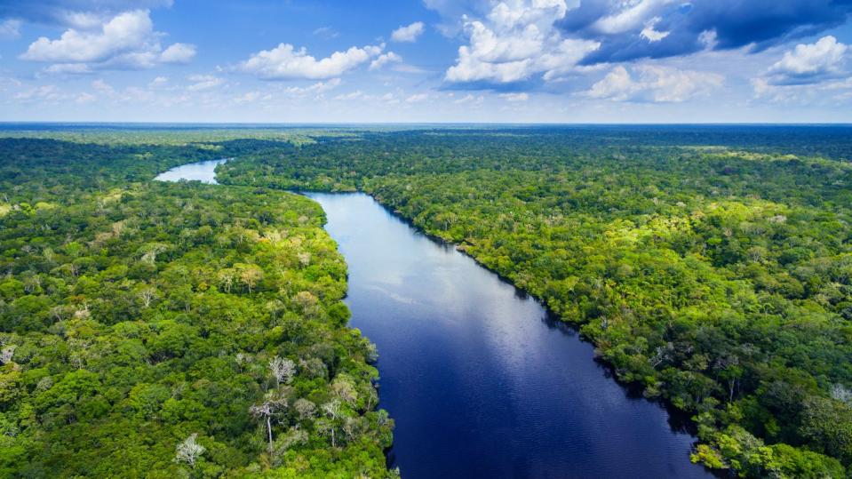 3) Amazon River and Rainforest