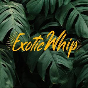 Exotic Whip 640G Cream Charger