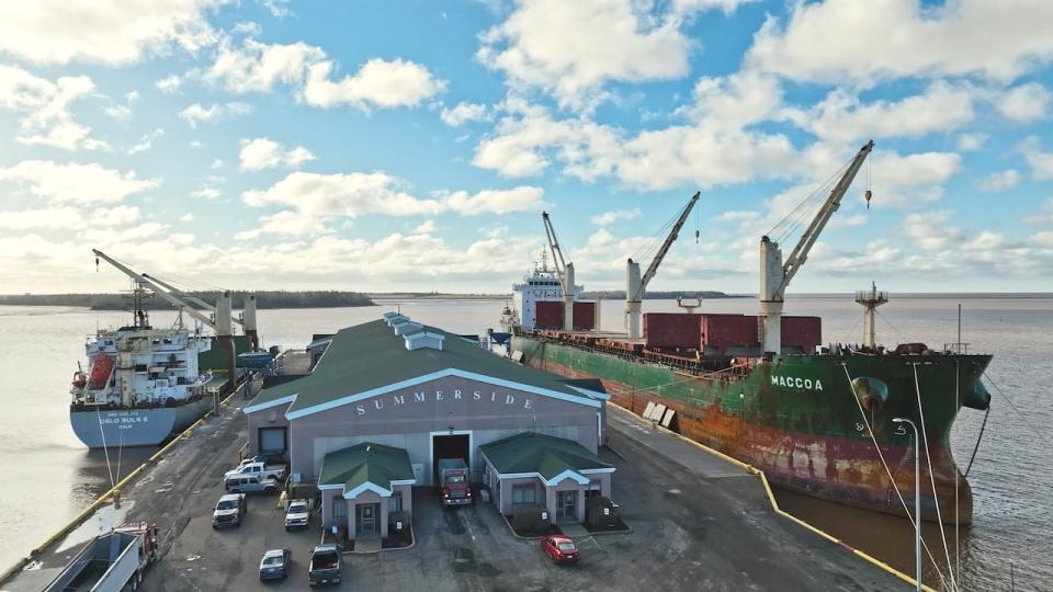 Port Summerside typically sees around 12 to 15 cargo vessels over six months of the year, and its 5,000-square-metre warehouse allows for storage pending delivery to the end user.  (Submitted - image credit)