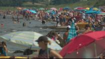 Why P.E.I. isn't testing the water-quality at provincial beaches this summer