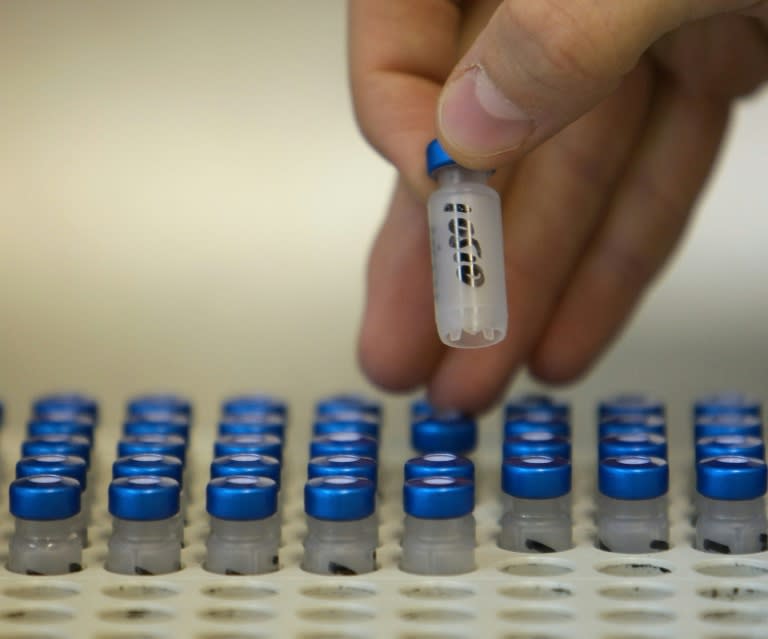 A picture taken on September 23, 2009 in Moscow shows a technician checking test tubes at the Moscow anti-doping laboratory