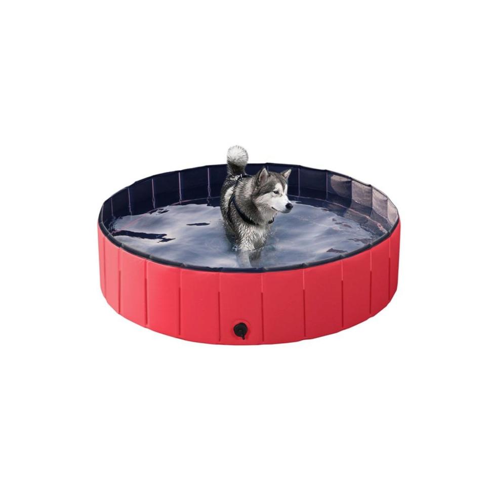 6) Foldable Pet Swimming Pool Wash Tub for Cats and Dogs