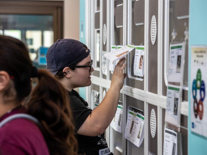 Visitors look over lists of available animals at Los Angeles County's Palmdale Animal Care Center.