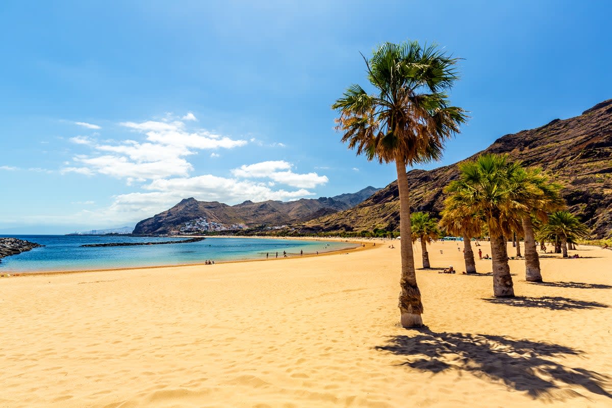 Tenerife’s coastlines mix golden sands with black volcanic beaches  (Getty Images)