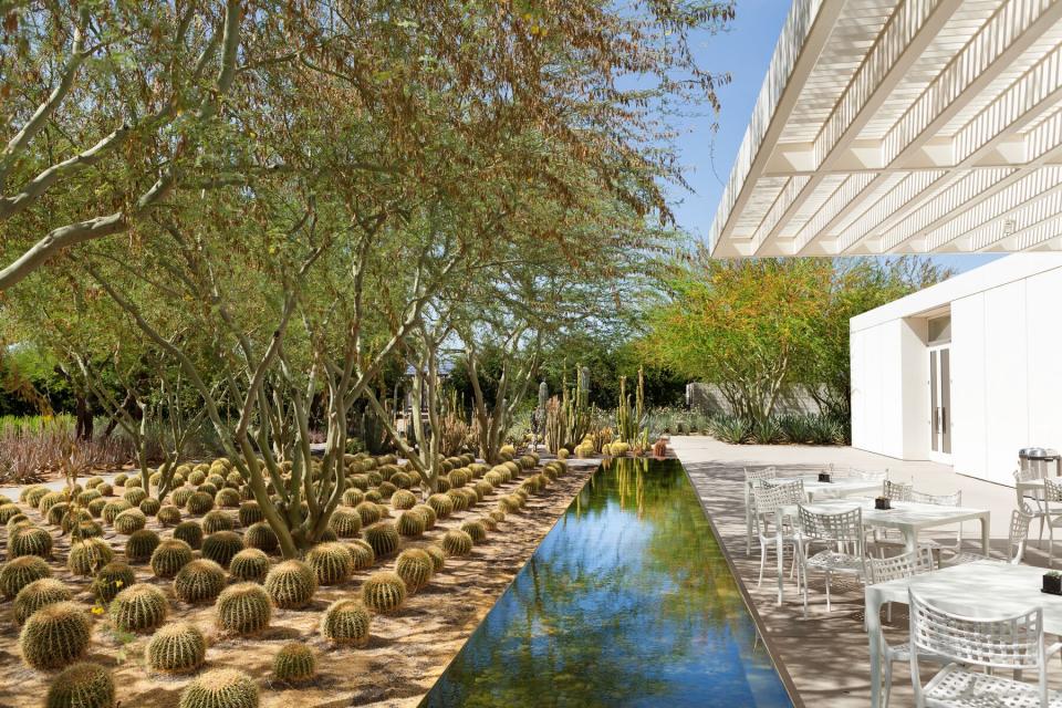 Sunnylands pond with tables and rows of cacti