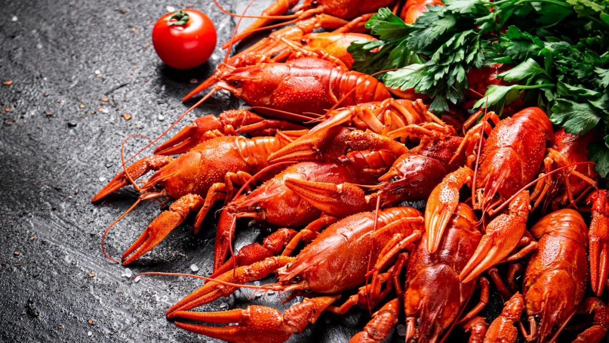 boiled crayfish with parsley on a black background,united states,usa