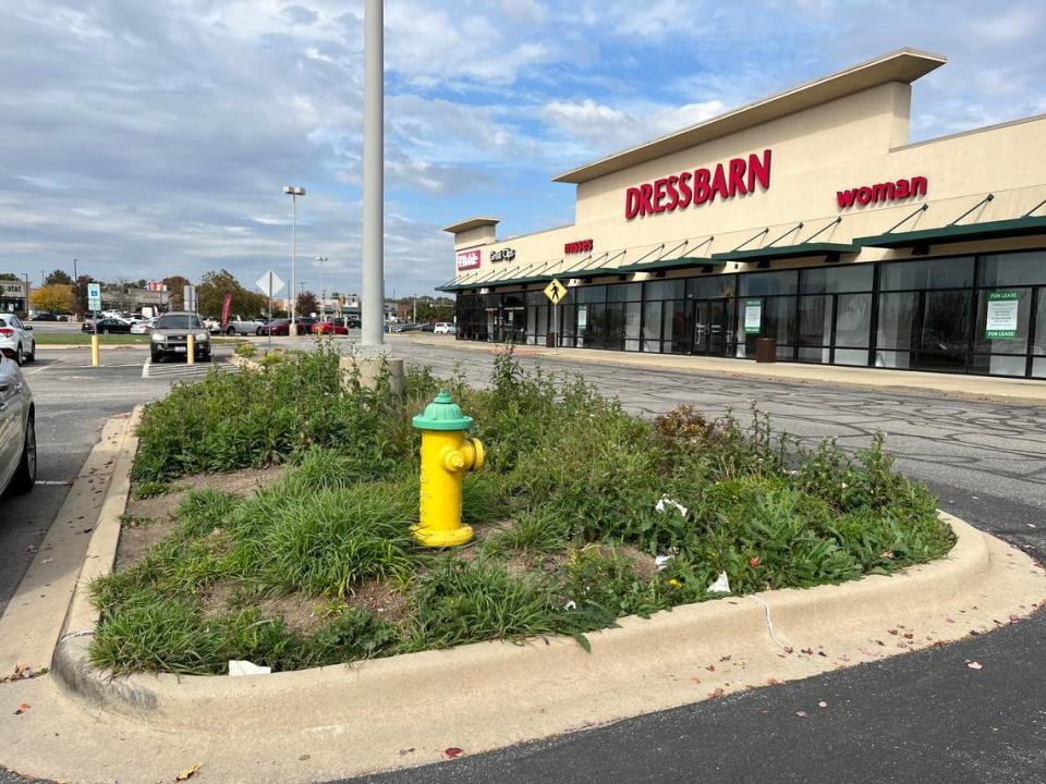 A landscaping island is filled with weeds and trash in front of the former Dressbarn clothing store, which closed in 2019, at Belleville Crossing shopping center, along Illinois 15.