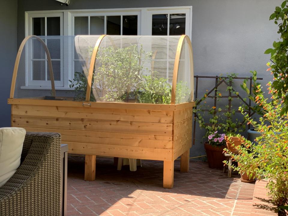 A Victory Gardens L.A. planter box