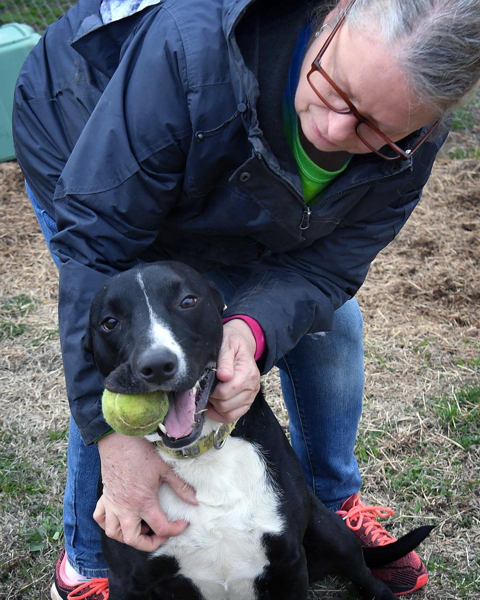 Kimber Hopkins plays with Daisy, one of the dogs at Emily's Legacy Rescue. The nonprofit is a foster-based rescue for dogs and cats.