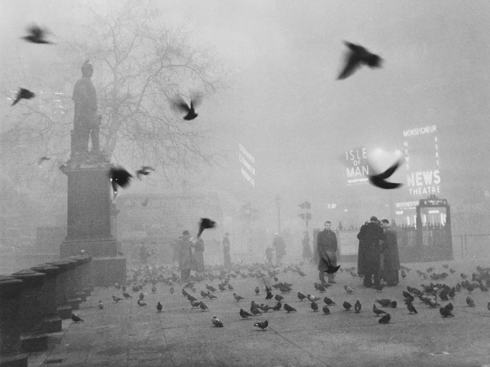 Pigeons swarm pedestrians as a thick fog shrouds Trafalgar Square and the rest of London on December 7, 1952.