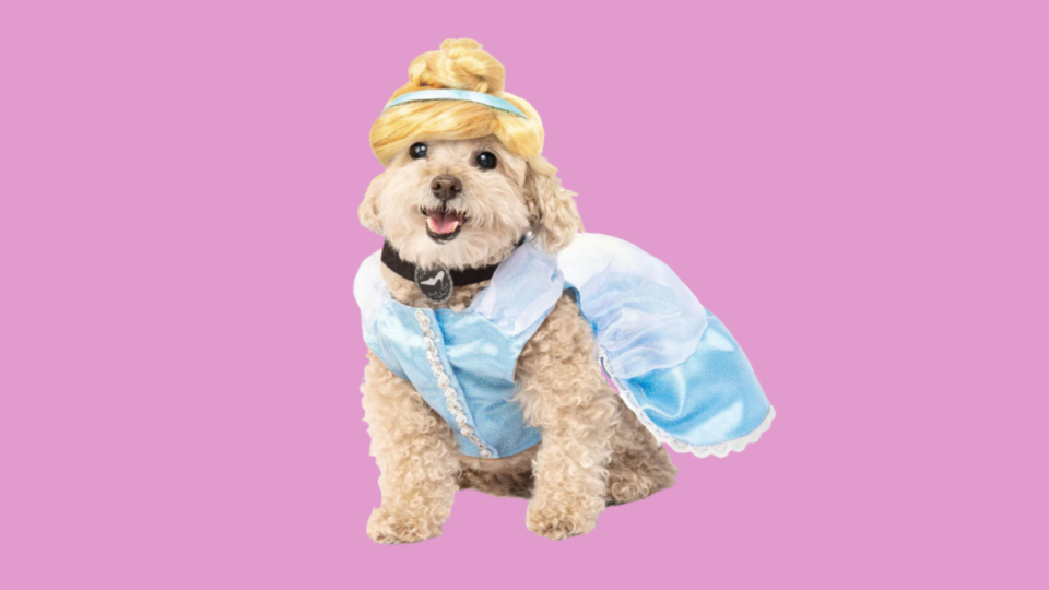 Popular Dog Costumes: Costumes.com Cinderella Costume