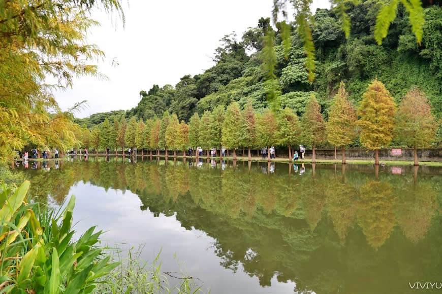 桃園大溪｜月眉人工濕地生態公園