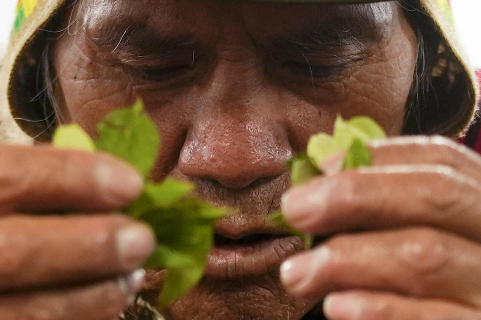 Spiritual guide Julio Quispe uses coca leaves during the anniversary ceremony for the Ayllus and Markas del Qullasuyo National Council, a confederation of Indigenous governing bodies, at the Plurinational Legislative Assembly, in La Paz, Bolivia, Wednesday, April 17, 2024. Bolivia’s government has revived a years-long battle to get the U.N. to decriminalize the coca leaf, an effort to win global recognition for its Indigenous traditions and expand its local market of coca-related products. (AP Photo/Juan Karita)