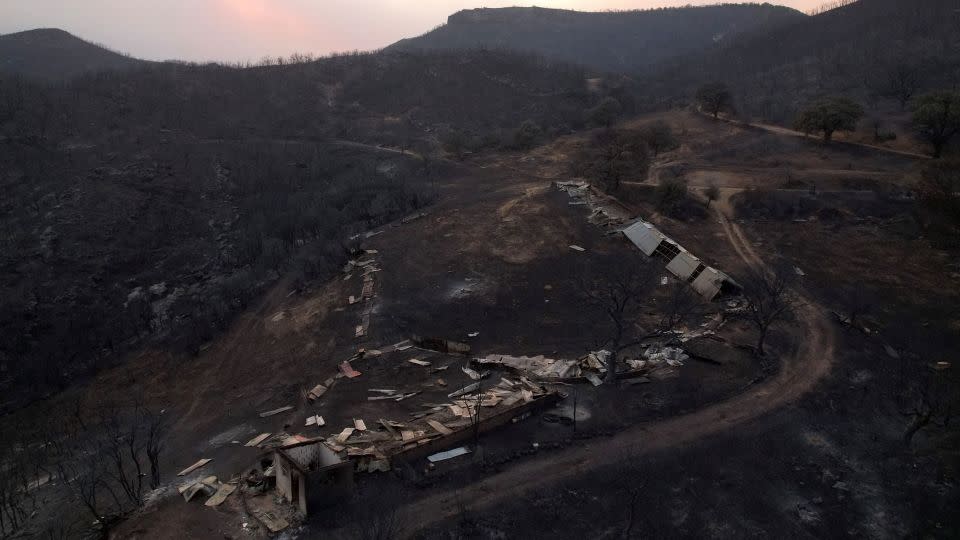 Destroyed corral where eighteen bodies were found following a wildfire near the village of Avantas. - Alexandros Avramidis/Reuters