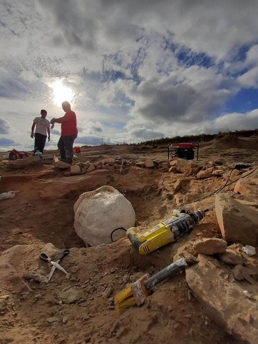 Researchers at the dig site.  / Credit: Photo by Felipe Pinheiro