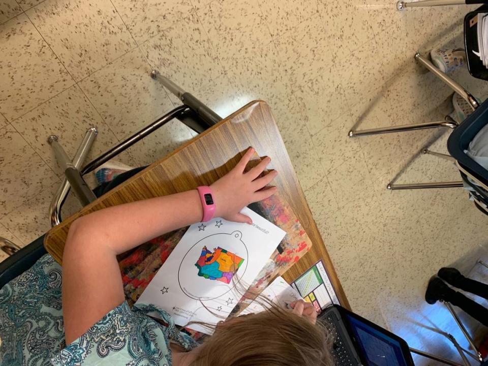 A fifth-grade class in the Mount Baker School District’s Harmony Elementary made ornaments to be shown on a tree outside the White House in Washington D.C.