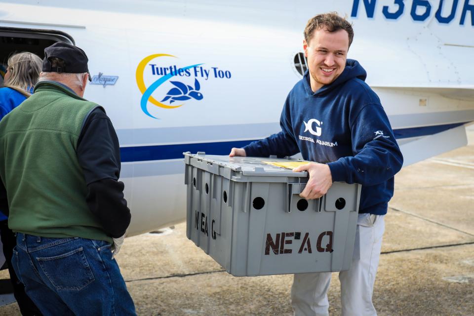 The turtles were brought to Atlanta by an organization called Turtles Fly Too, which is made up of pilots that help in coordinating and facilitating large-scale relocation efforts for endangered species.