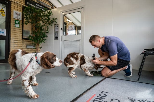 Heathrow Animal Reception Centre