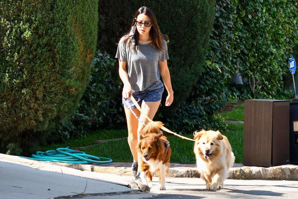 <p>Aubrey Plaza was seen walking her dogs in Los Angeles.</p>