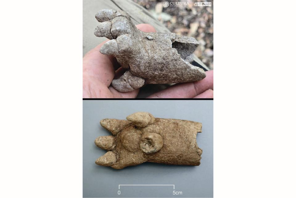 two views of a ceramic fragment of an animal leg