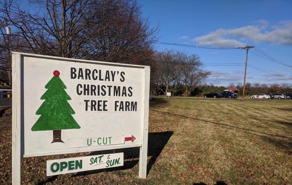 Barclay's Tree Farm in Cranbury.