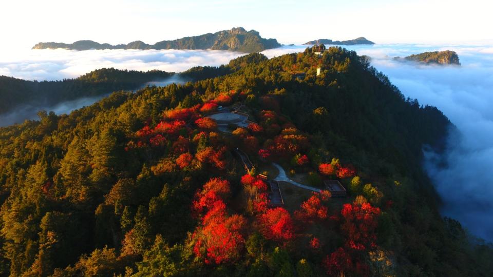 小笠原山楓紅、雲瀑。   圖：嘉義林管處／提供