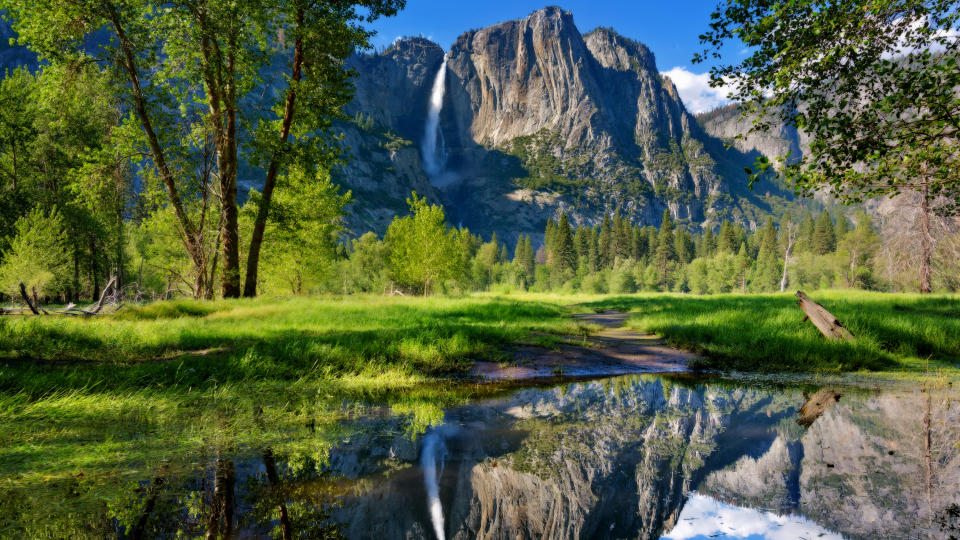 Yosemite Falls reflected in the Merced River