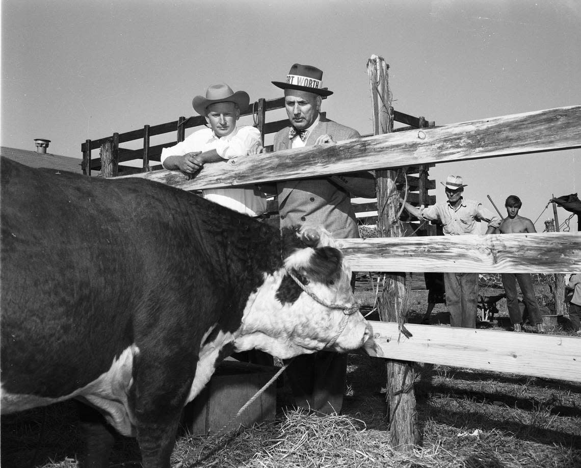 Sept. 30, 1949: Fred Bursey, left, in charge of the livestock division of the Keller Fair, with Gerald O. Barney, visitor from Fort Worth, looking over cattle entrants for judging. Fort Worth Star-Telegram archive/UT Arlington Special Collections