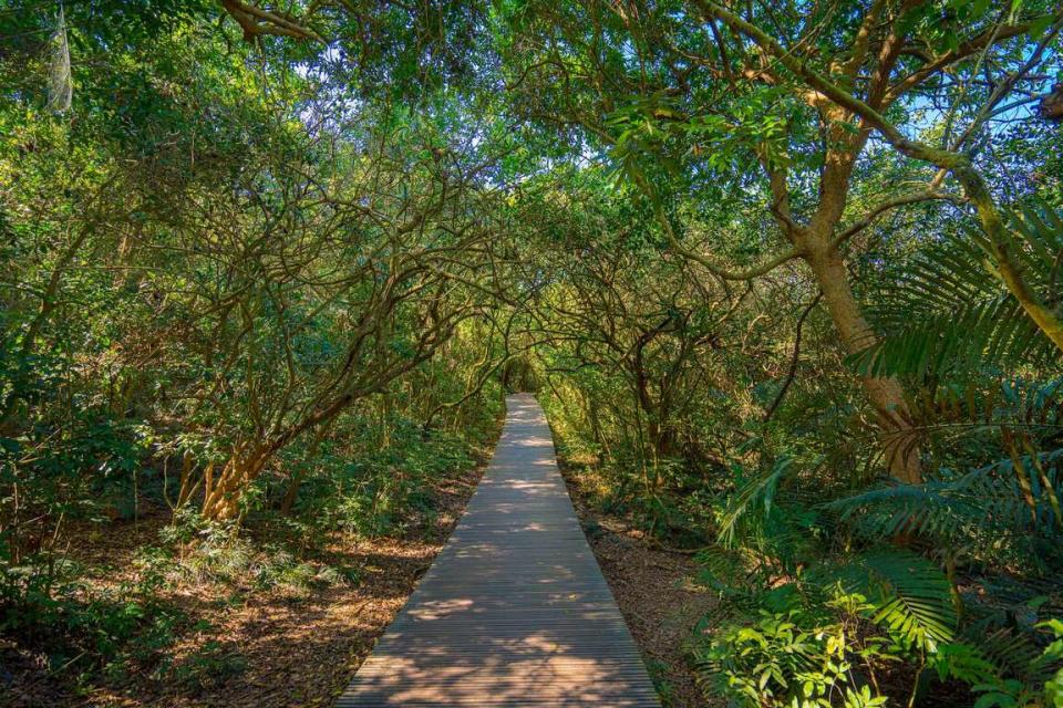 壽山登山步道（圖片來源：高雄旅遊網）