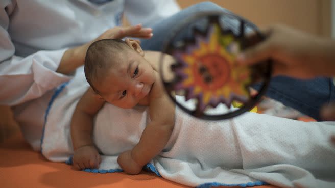 The zika virus has caused brain-damage in babies after their mothers were infected while pregnant. Photo: 7News