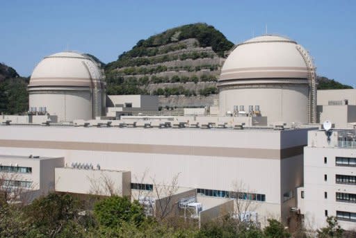 This file photo, taken in April, shows the third (R) and fourth reactor building of the Ohi nuclear power plant of the Kansai Electric Power Co (KEPCO) at Ohi town in Fukui prefecture, western Japan. Japan's prime minister, defying fierce public sentiment, has ordered nuclear reactors back online for the first time since the Fukushima accident, as he seeks to head off a summer energy crunch